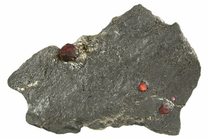 Plate of Four Red Embers Garnets in Graphite - Massachusetts #313532